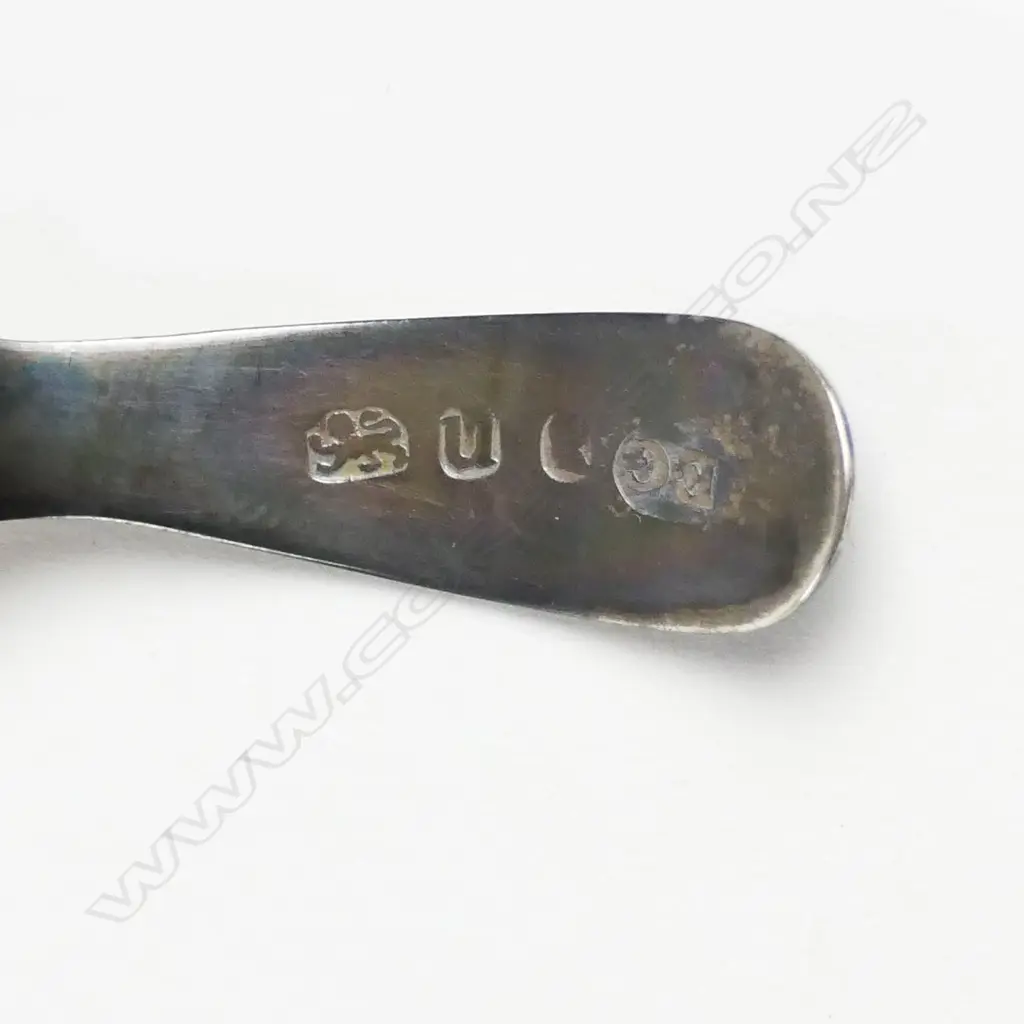 GEO. S/S CADDY SPOON Image 1++