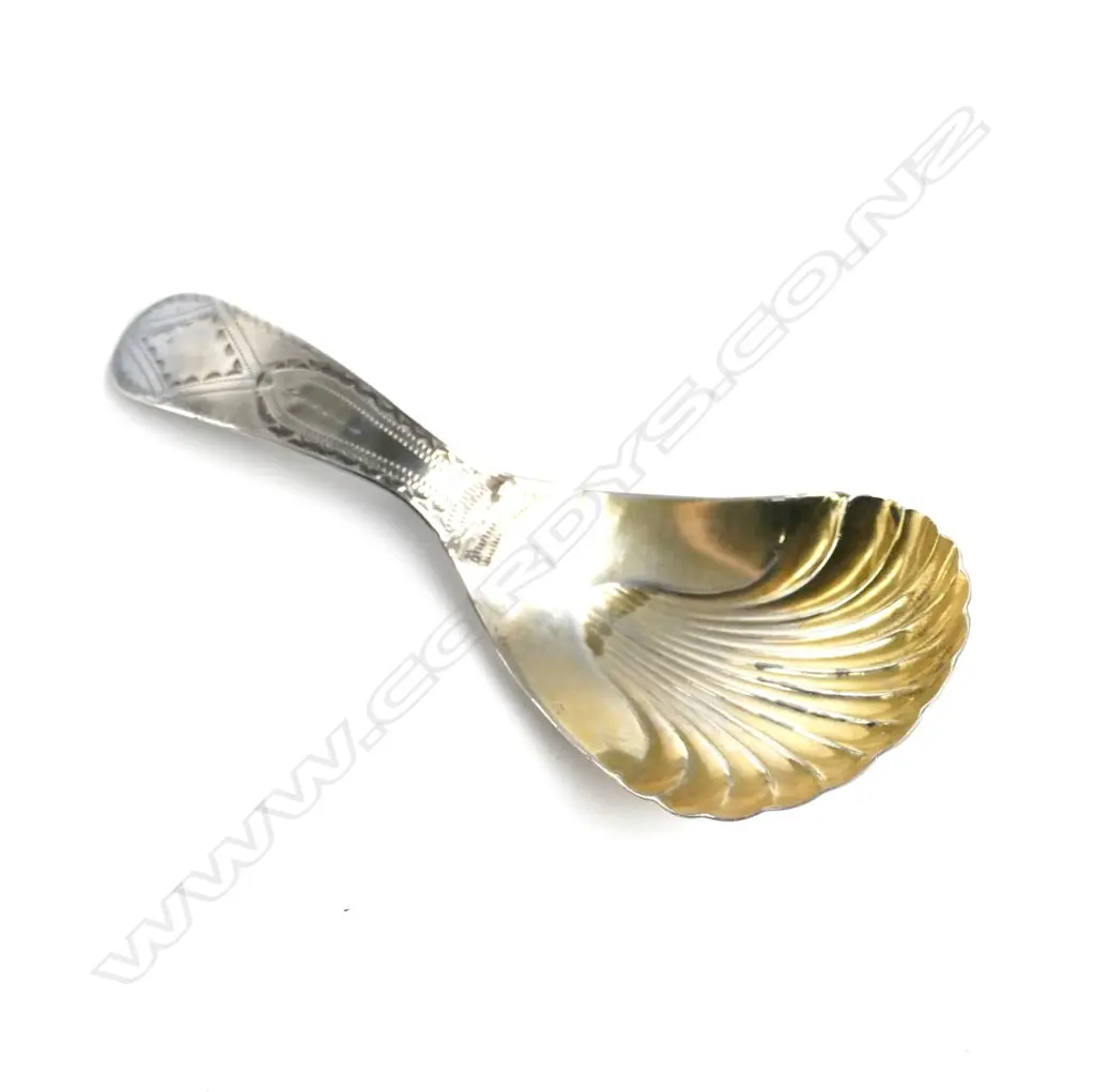 GEO. S/S CADDY SPOON Image 1++