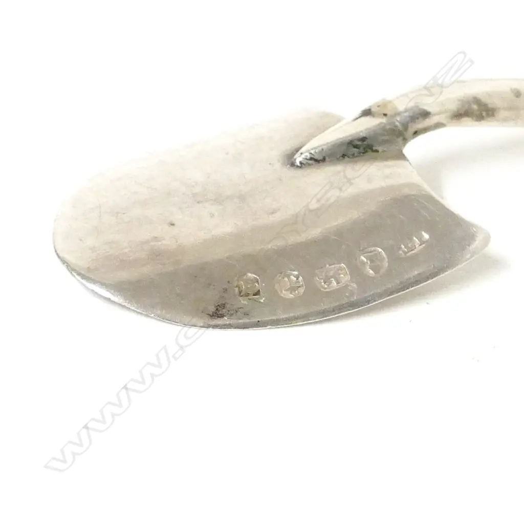 GEO. S/S CADDY SPOON Image 1++
