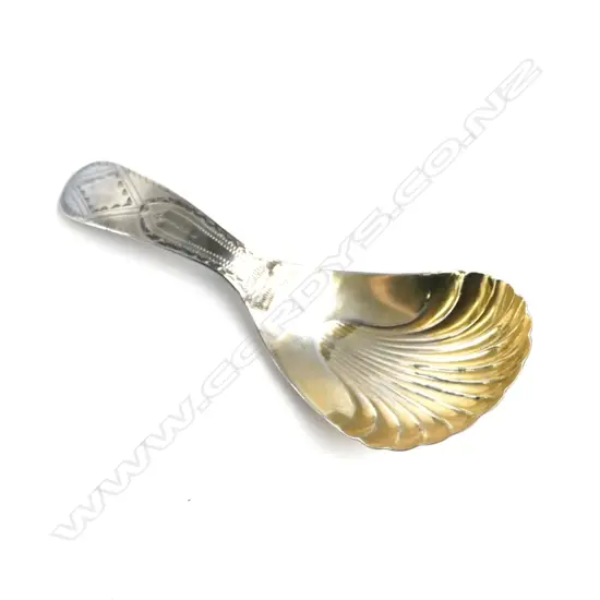 GEO. S/S CADDY SPOON