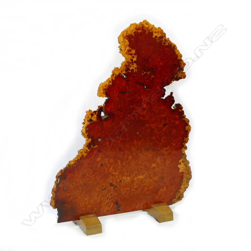 A Burmese burr rosewood room stand Image 1++