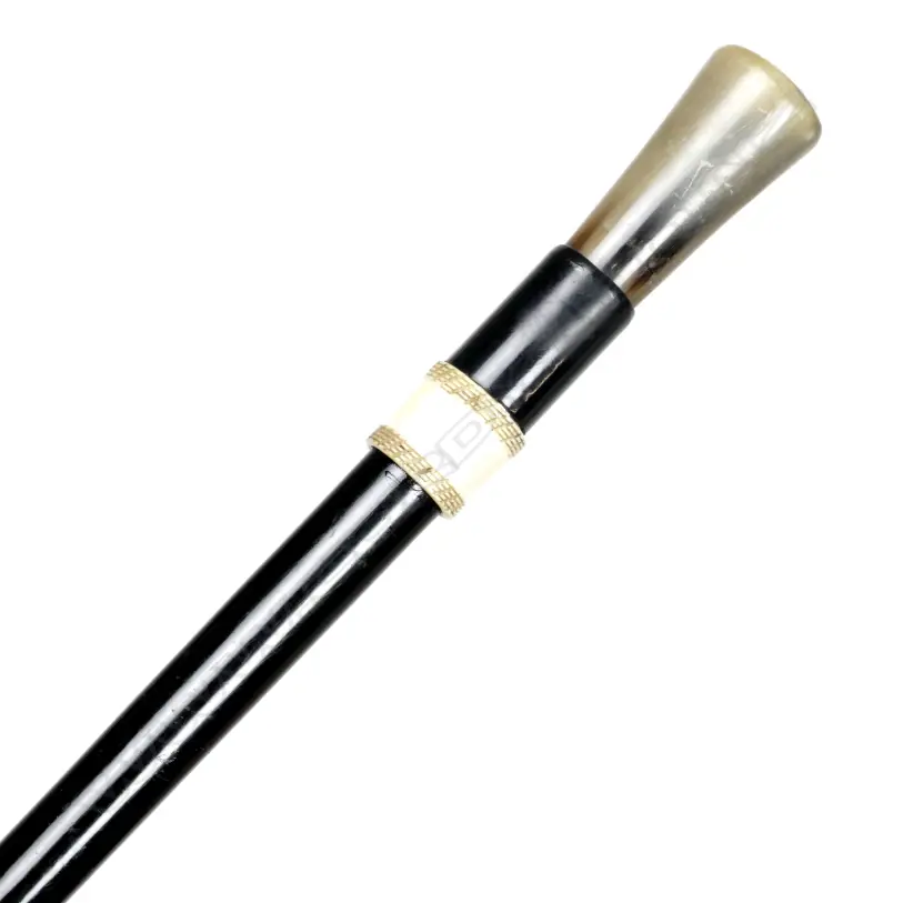 A vintage walking cane Image 1++