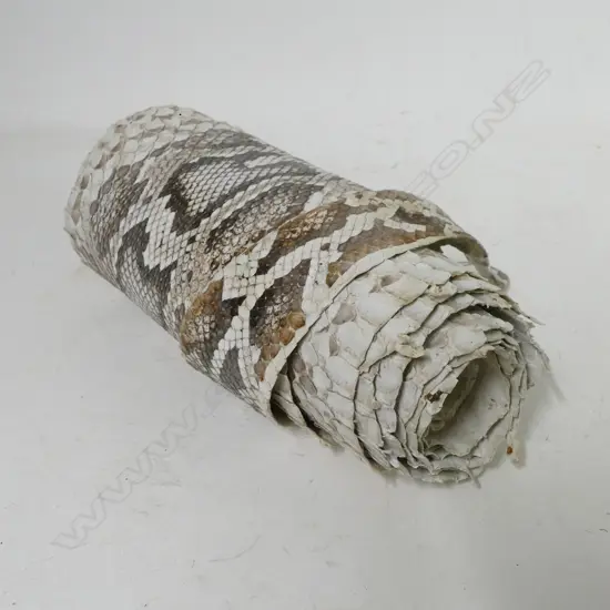 A Python snake skin