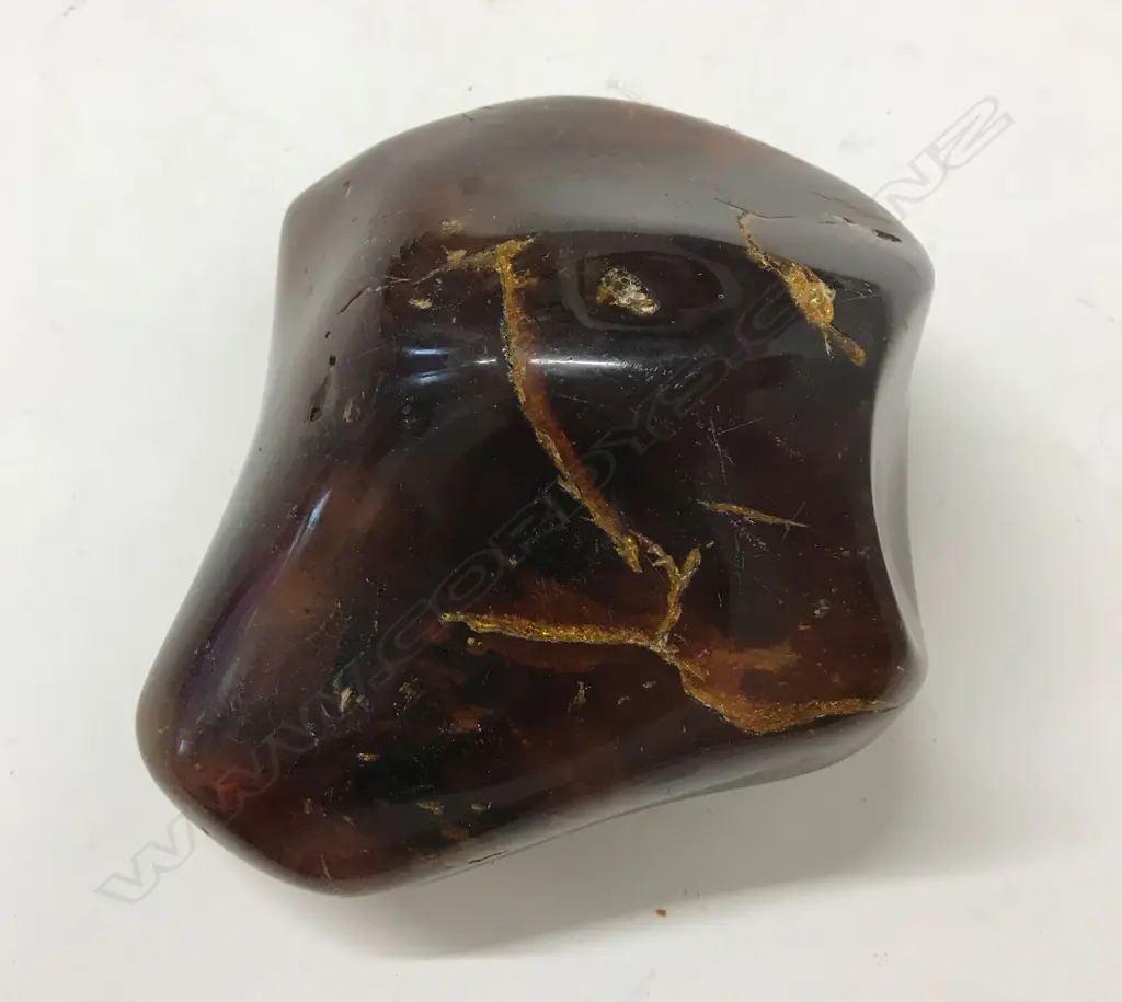 A small kauri gum boulder Image 1++