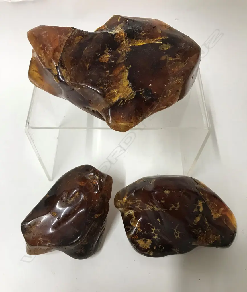 Three polished pieces of kauri gum Image 1++