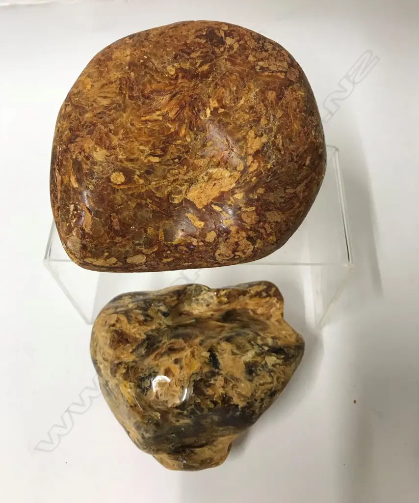 Two pieces of hand polished kauri gum Image 1++