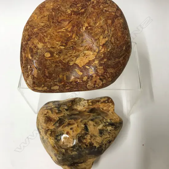 Two pieces of hand polished kauri gum