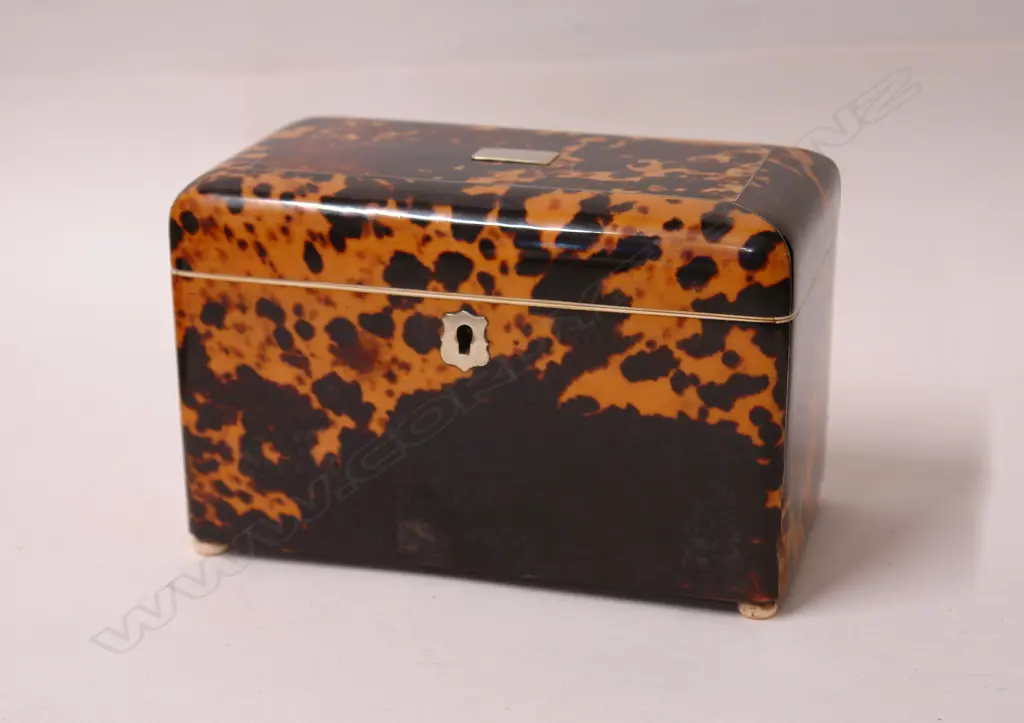 A good Regency tortoiseshell tea caddy Image 1++