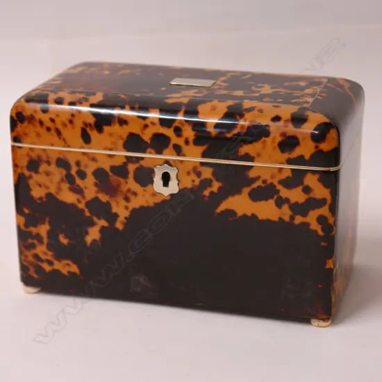 A good Regency tortoiseshell tea caddy