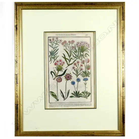 Three botanical prints from 'The Garden of Pleasant Flowers'