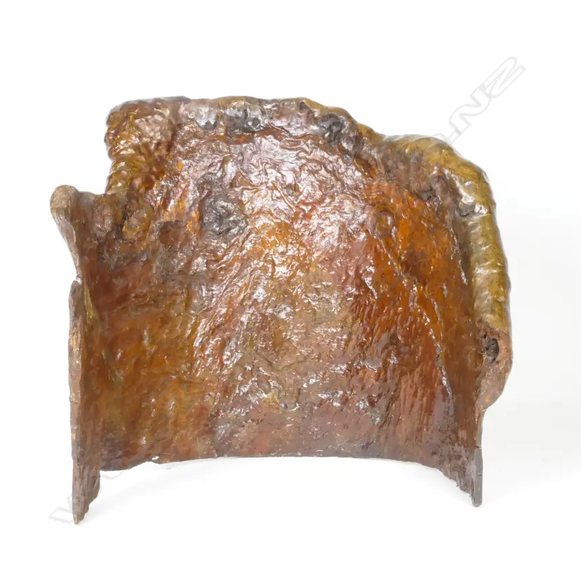 An unusual semi-circular section of a burr timber tree-trunk Image 1++