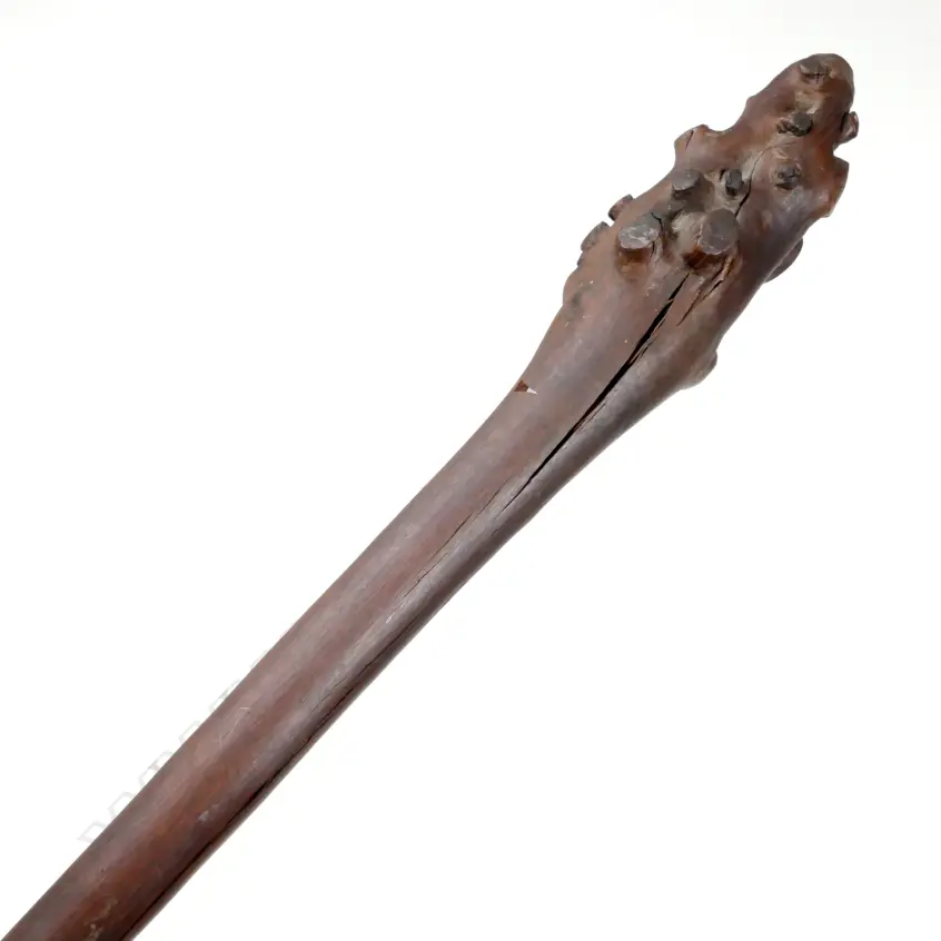 A Fijian war club (vunikau) Image 1++