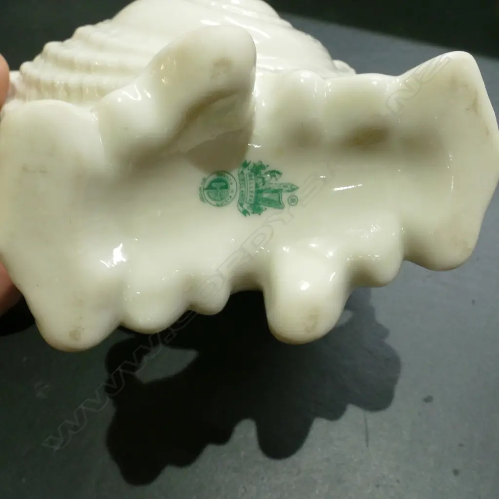 A Belleek green mark nautilus shell vase Image 1++