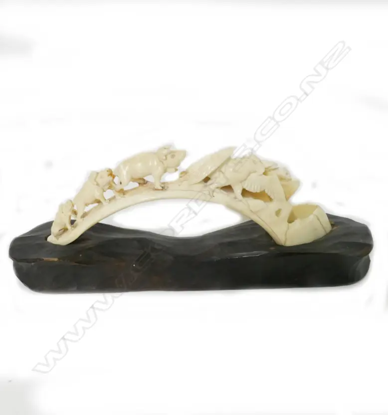 A carved warthog tusk Image 1++