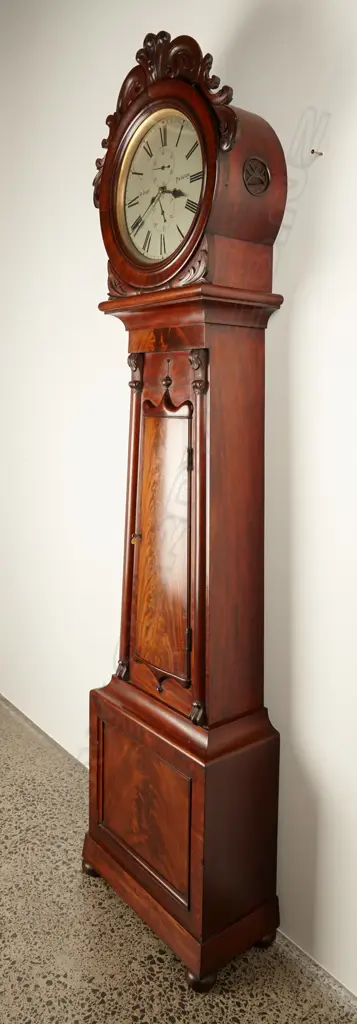 William IV Scottish long case clock in attractive solid mahogany case with round hood surmounted by carvings and tapered trunk with bow front door Image 1++