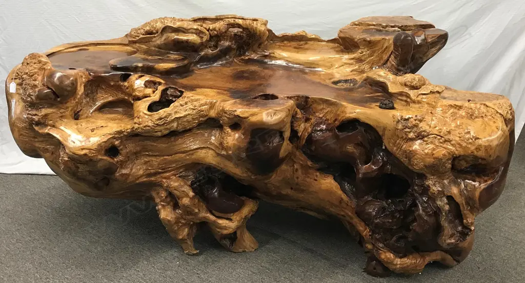 A heavy  burr root timber desk Image 1++