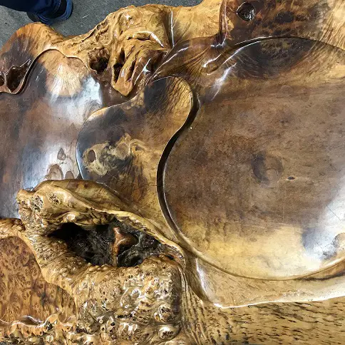 A heavy  burr root timber desk Image 1++