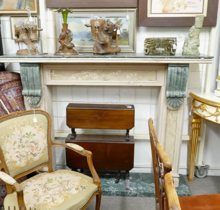 A classical coloured marble fire surround Image 1++