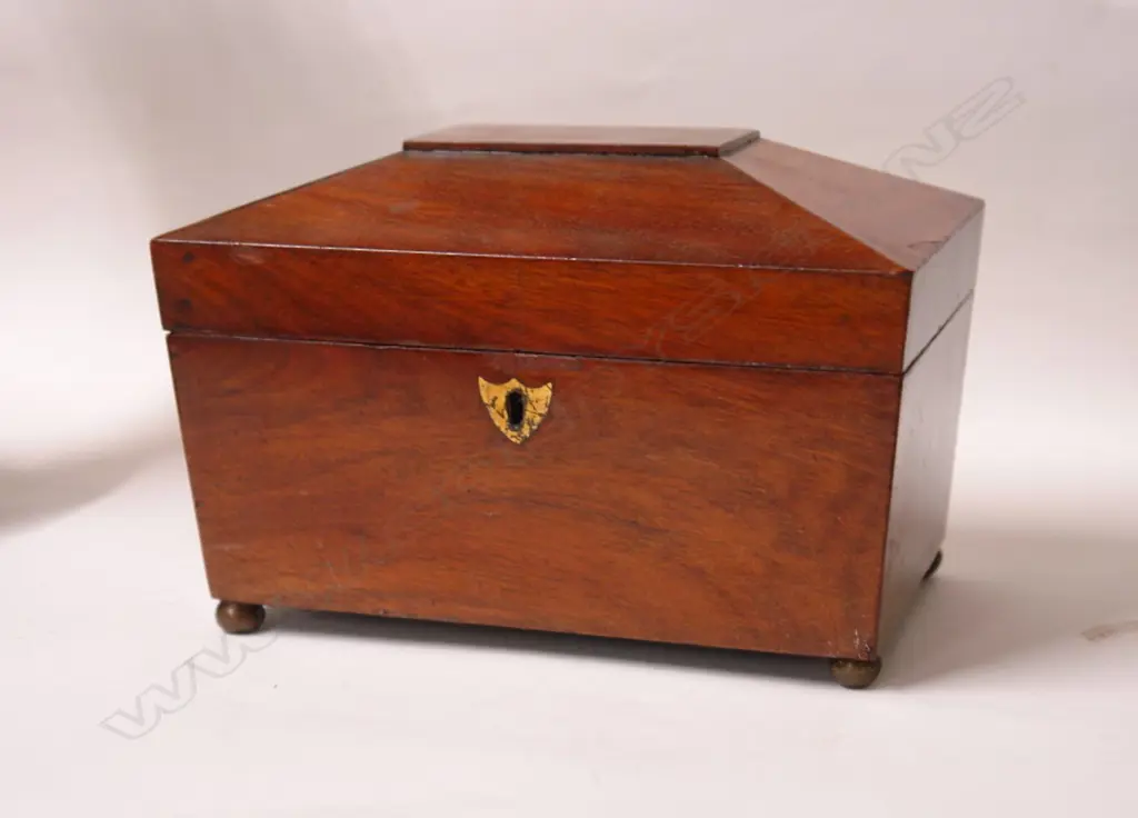 A Regency mahogany tea caddy Image 1++