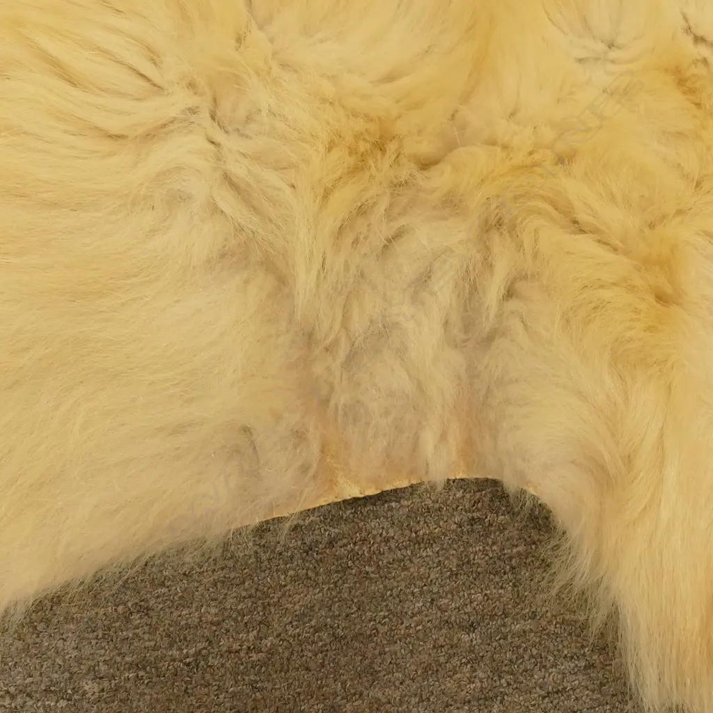 A large polar bear rug Image 1++