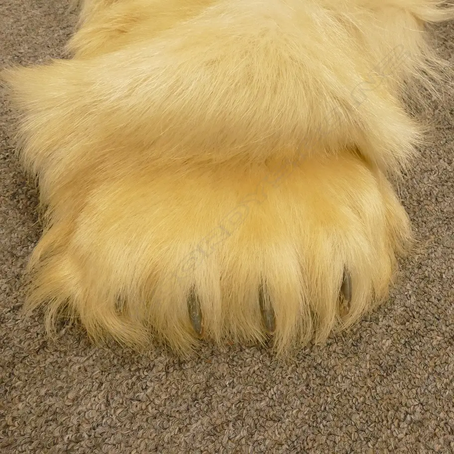 A large polar bear rug Image 1++