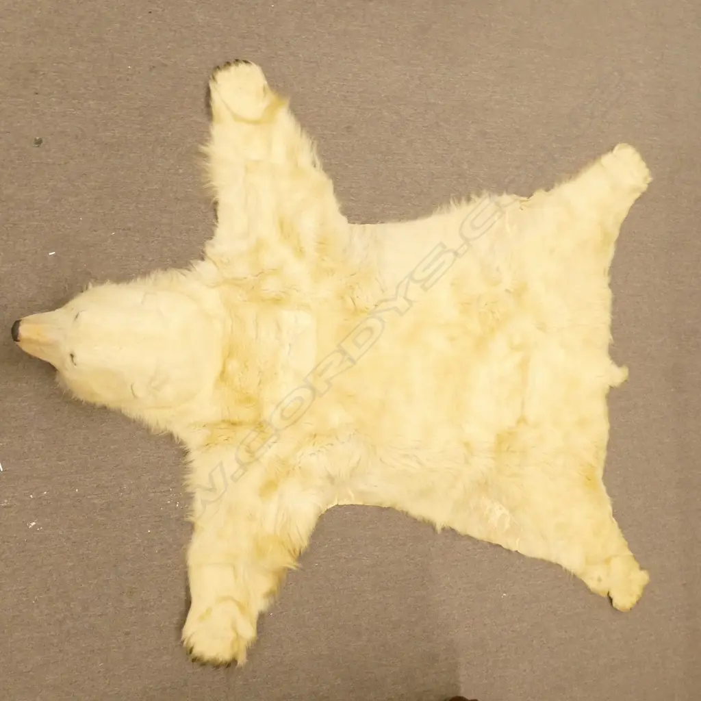 A large polar bear rug Image 1++