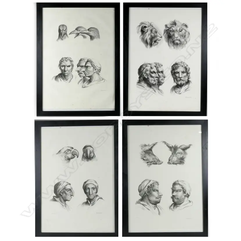 A rare set of four lithographs after Charles Le Brun from his 'System on Physiognomy' Image 1++