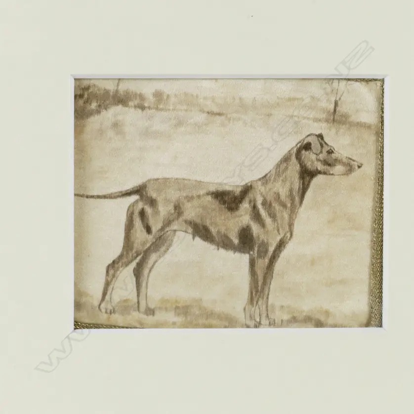 A set of six 19thC ink studies of dogs Image 1++