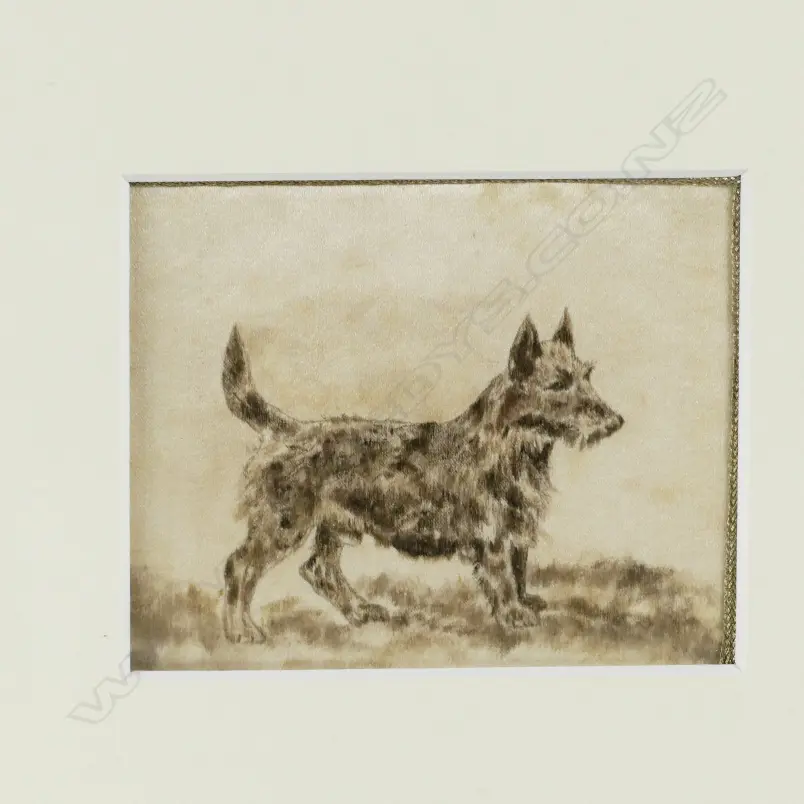 A set of six 19thC ink studies of dogs Image 1++