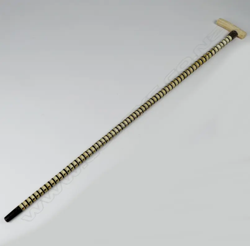 A walking stick made of shark vertebrae with an ivory handle carved with Maori designs. The 65 graduated vertebrae interspersed by horn discs Image 1++