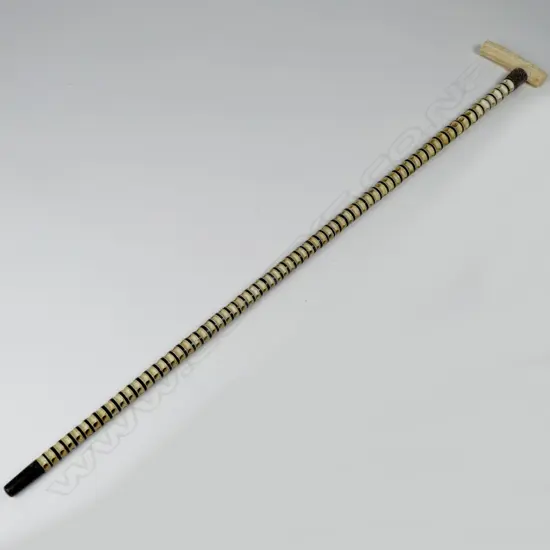 A walking stick made of shark vertebrae with an ivory handle carved with Maori designs. The 65 graduated vertebrae interspersed by horn discs