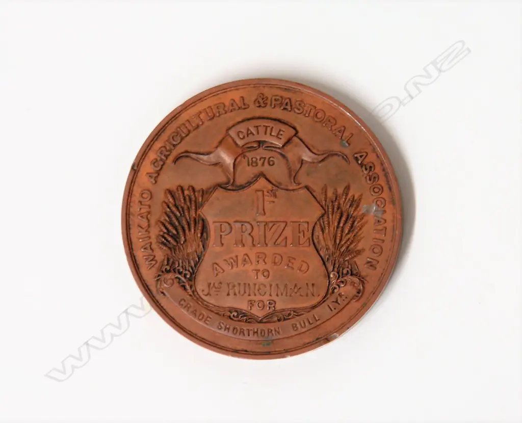 An 1876 Waikato Agricultural & Pastoral Association 1st Prize Medallion designed by Anton Teutenberg of Auckland Image 1++
