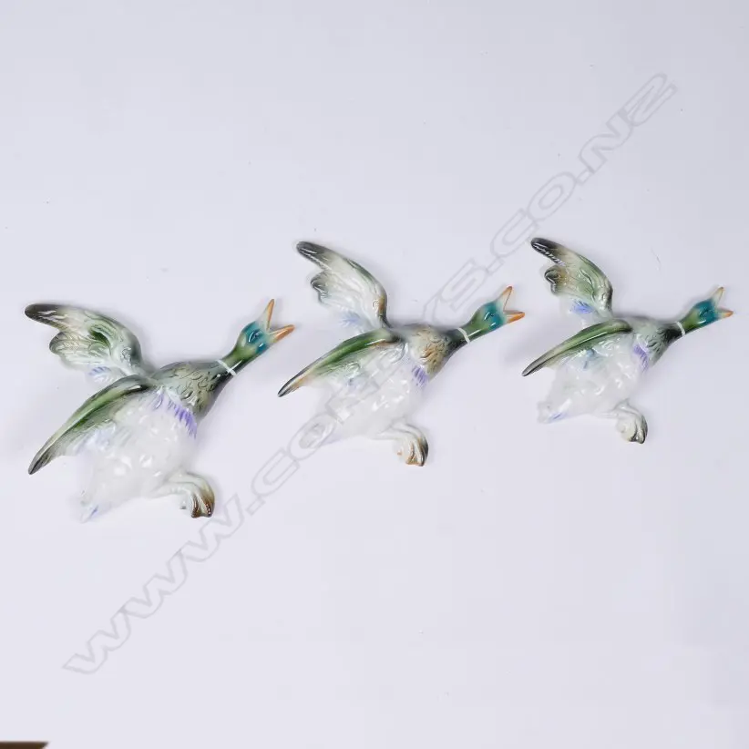 Three Titian wall ducks Image 1++