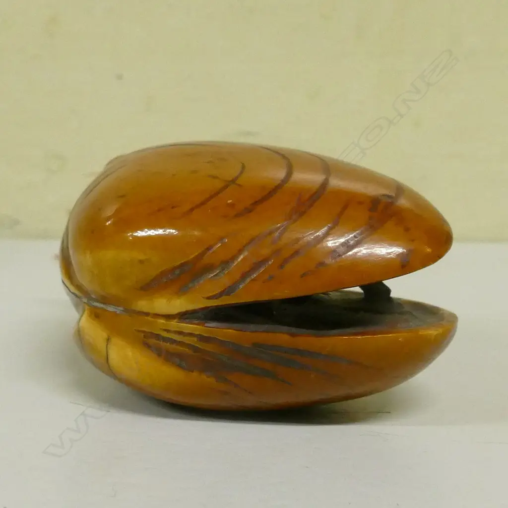 An old stained and carved ivory dreamshell netsuke Image 1++