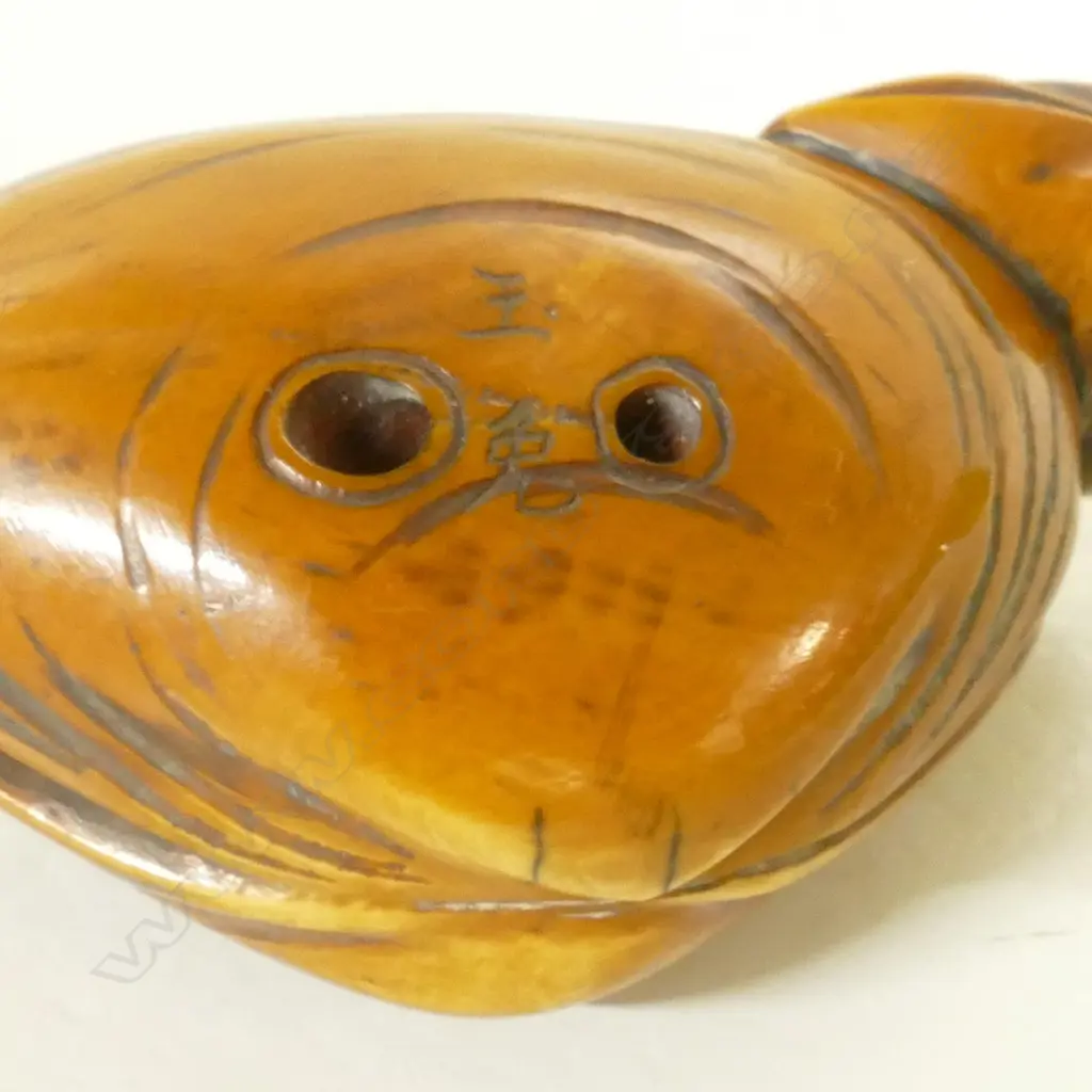 An old stained and carved ivory dreamshell netsuke Image 1++