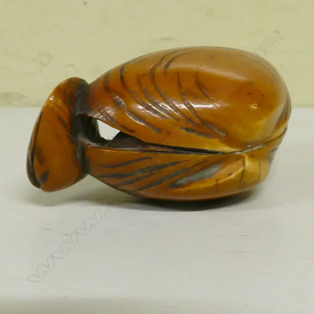 An old stained and carved ivory dreamshell netsuke Image 1++