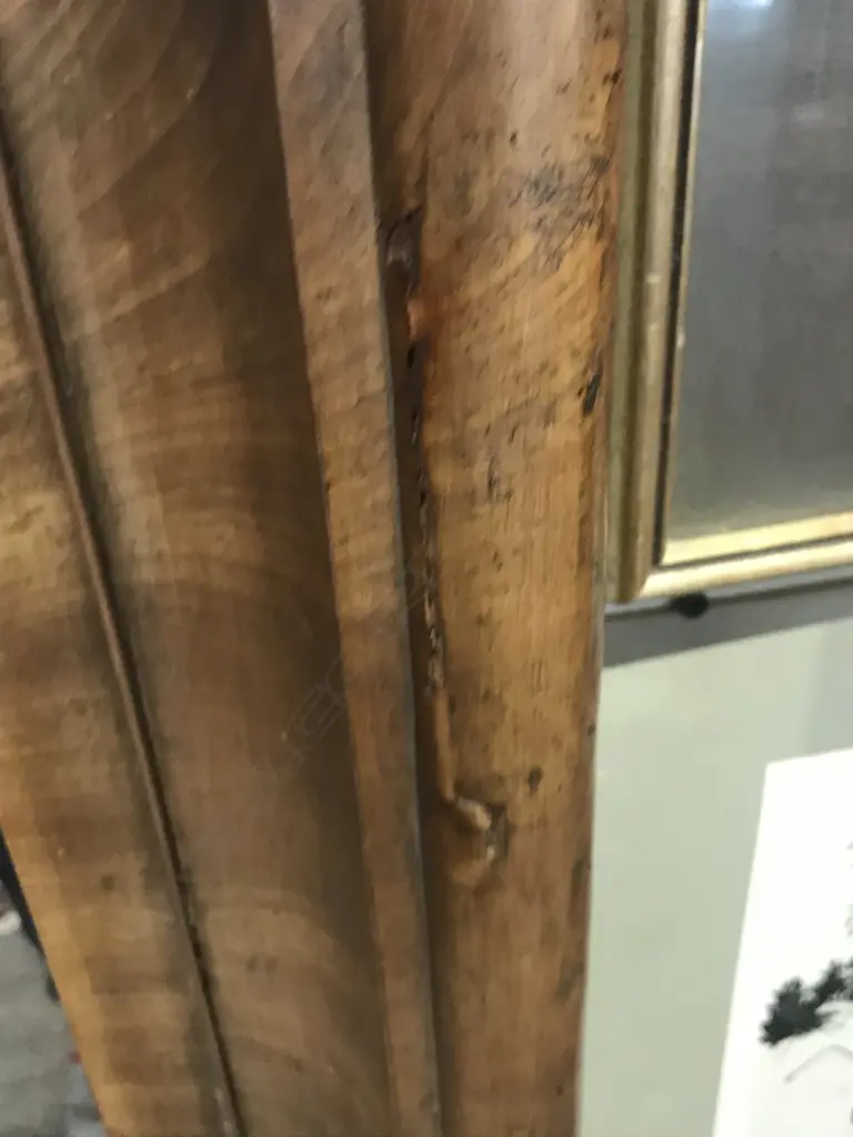 A 19thC German Biedermeier tall free-standing pier mirror Image 1++