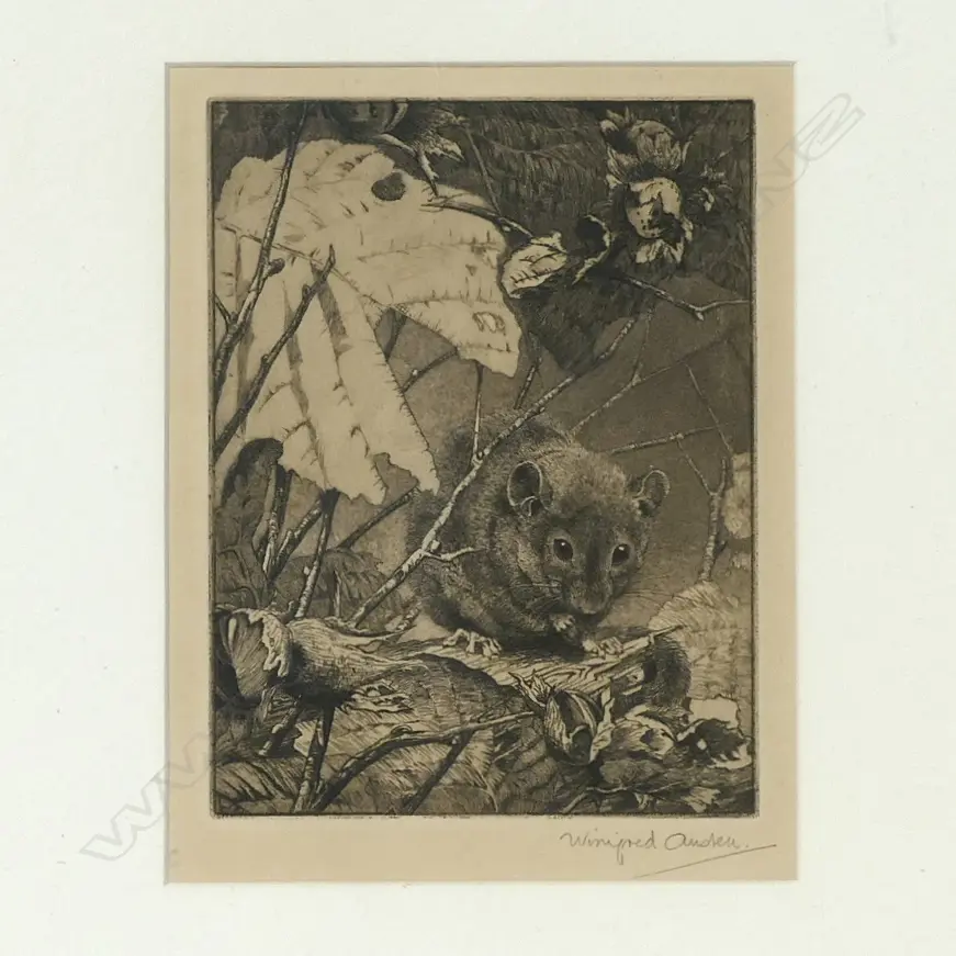 Winifred Marie Louise Austen (UK 1876-1964) Image 1++
