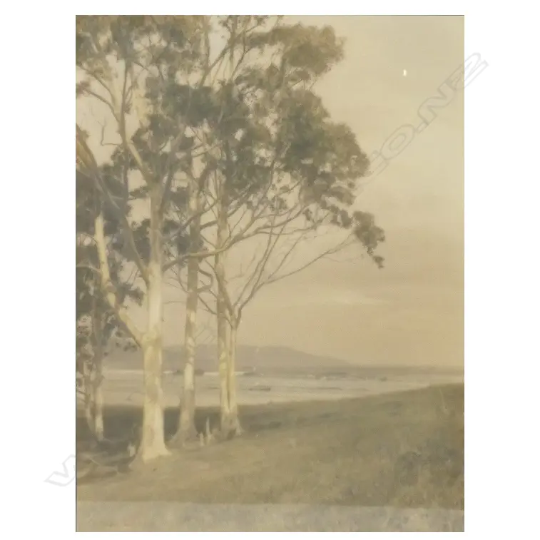 George Chance Image 1++