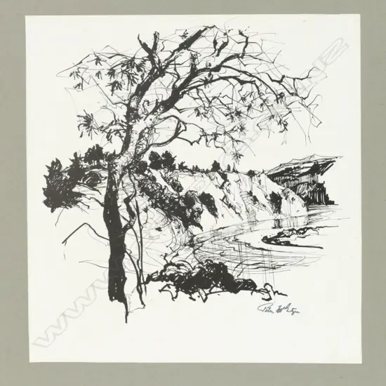 Peter McIntyre