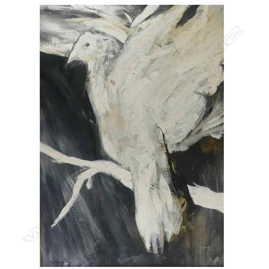 Suzanne Goldberg Image 1++