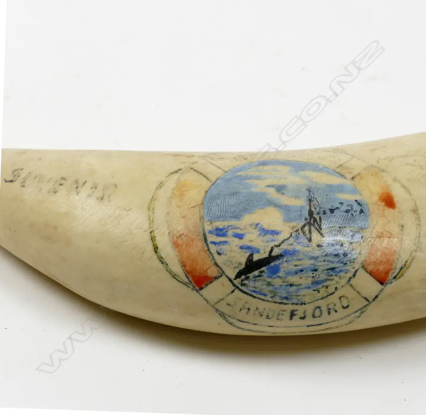 An old sperm whale tooth Image 1++