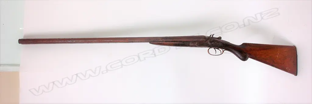 An antique hammer action 12-gauge double barrel shotgun Image 1++