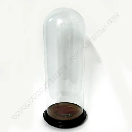A Victorian glass dome on ebonised wood stand