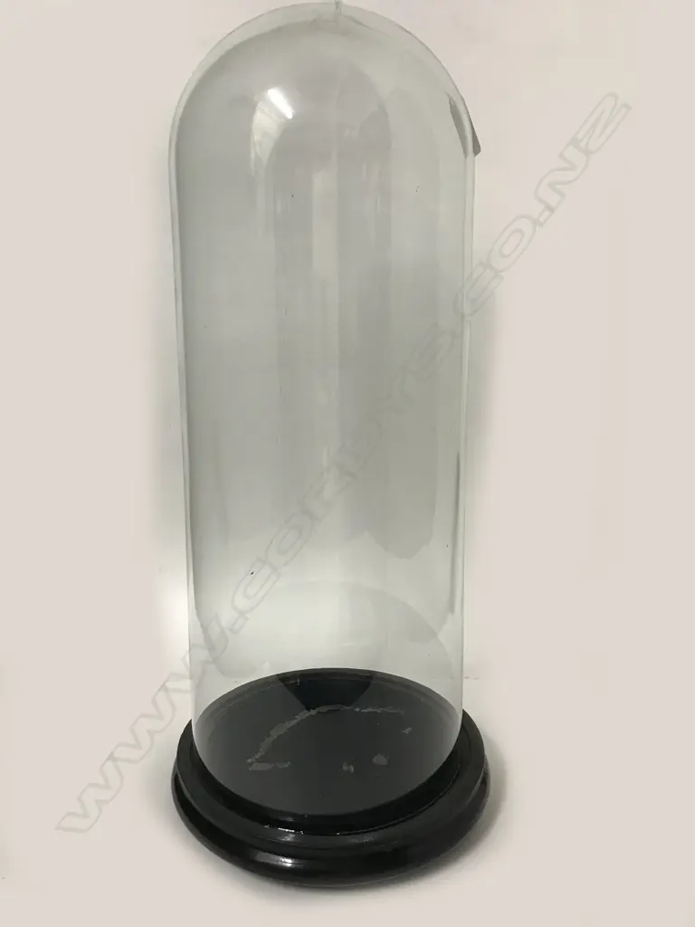 A Victorian glass dome on ebonised wood stand Image 1++