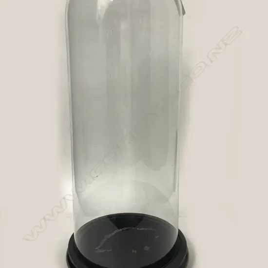 A Victorian glass dome on ebonised wood stand