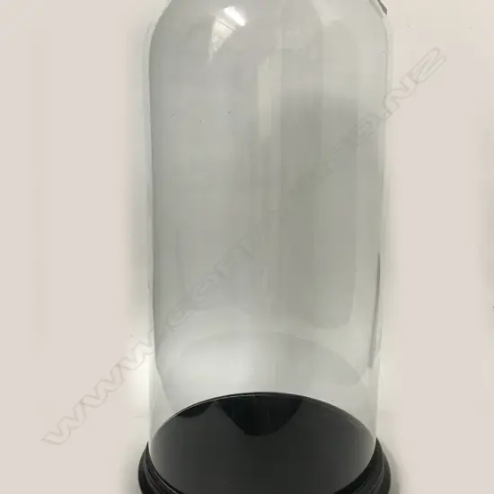A Victorian glass dome on ebonised wood stand