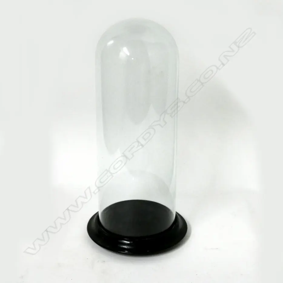 A small Victorian glass dome on ebonised wood stand Image 1++