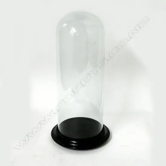 A small Victorian glass dome on ebonised wood stand