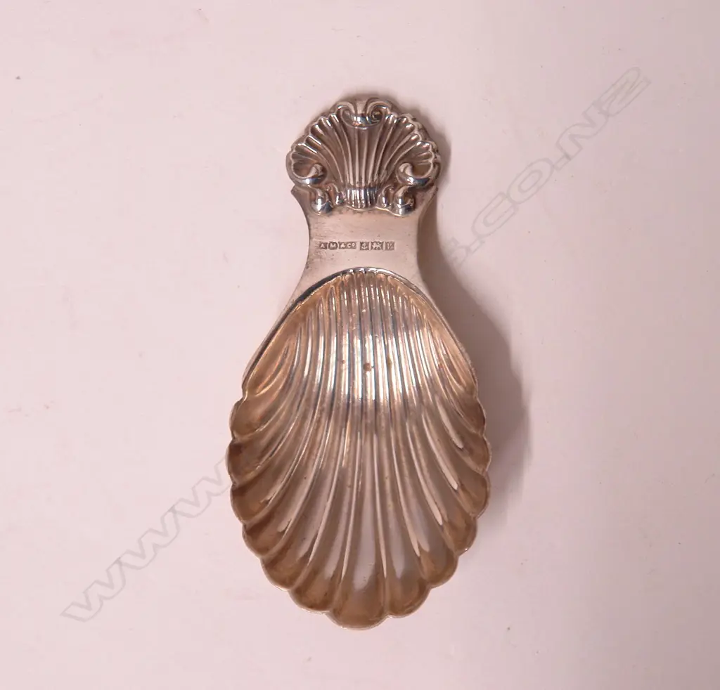 A silver scallop shell form tea caddy Image 1++